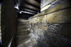 Stairs In The Cellar, Sealed Off Stairway.  Jan 2009